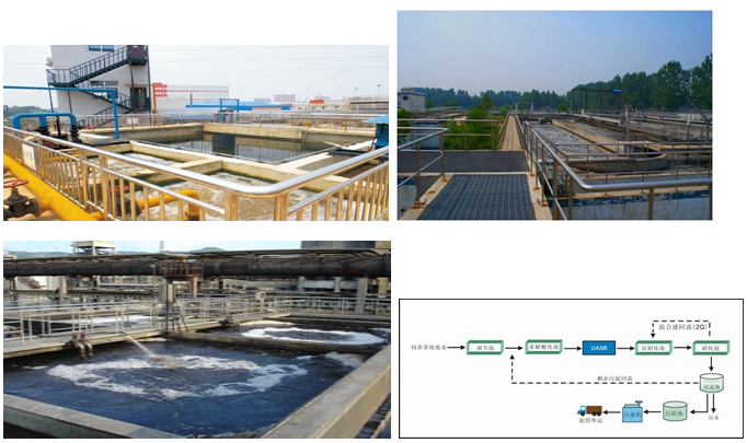養殖廢水處理 養殖廢水處理